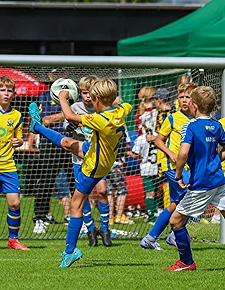 Vildbjerg 1