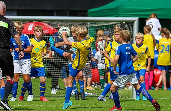Vildbjerg 1